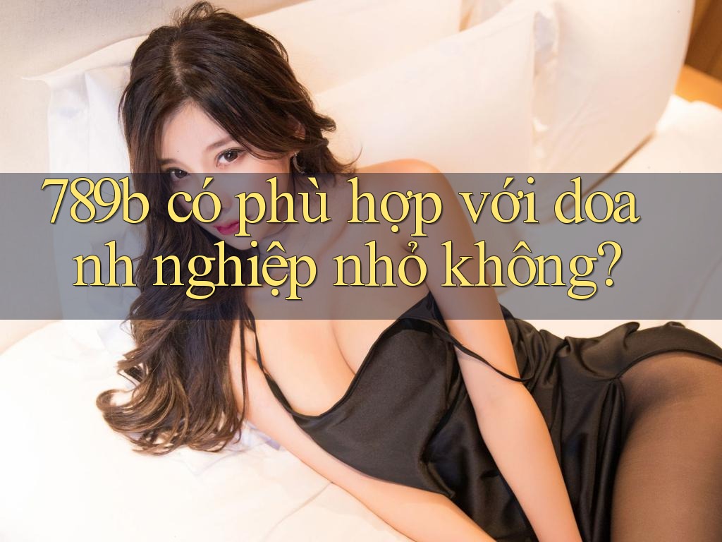 789b có phù hợp với doanh nghiệp nhỏ không? 789b có phù hợp với doanh nghiệp nhỏ không?