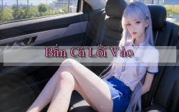 Bắn cá Lối vào