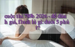 cuộc thi 789b 2026   để đánh giá, flush là gì dưới 5 phút