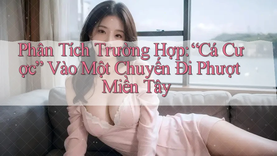 Phân Tích Trường Hợp: “Cá Cược” Vào Một Chuyến Đi Phượt Miền Tây Phân Tích Trường Hợp: “Cá Cược” Vào Một Chuyến Đi Phượt Miền Tây