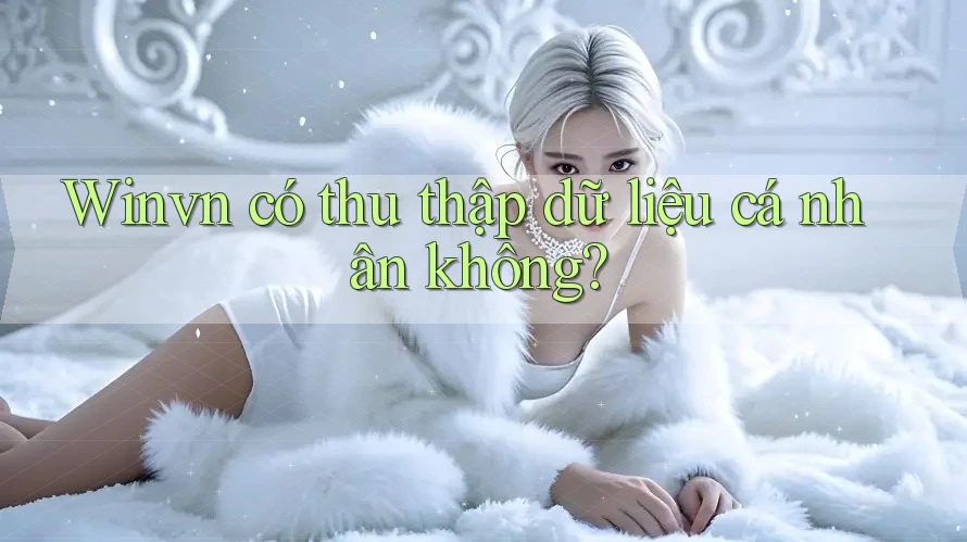 Winvn có thu thập dữ liệu cá nhân không?